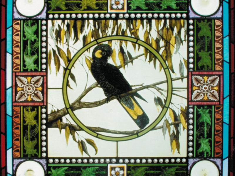 Yellow and Black Cockatoo stained glass window